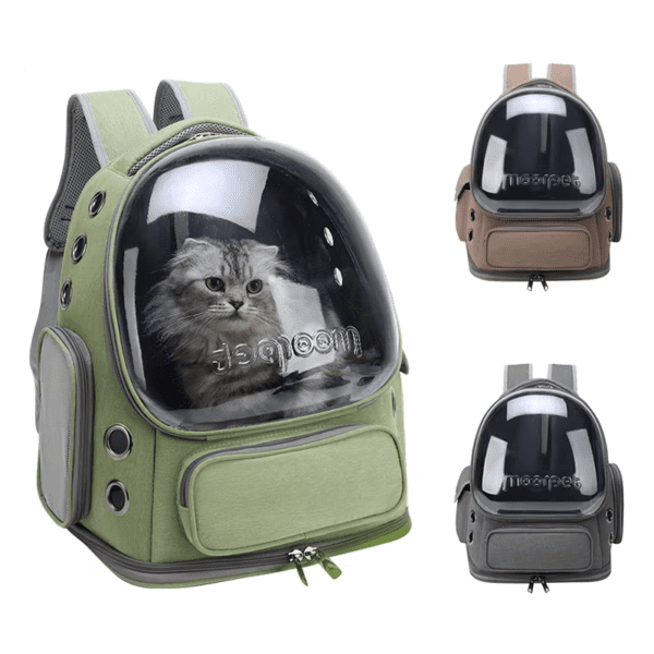 Bolsa transportadora transparente para gatos, ideal para viajes